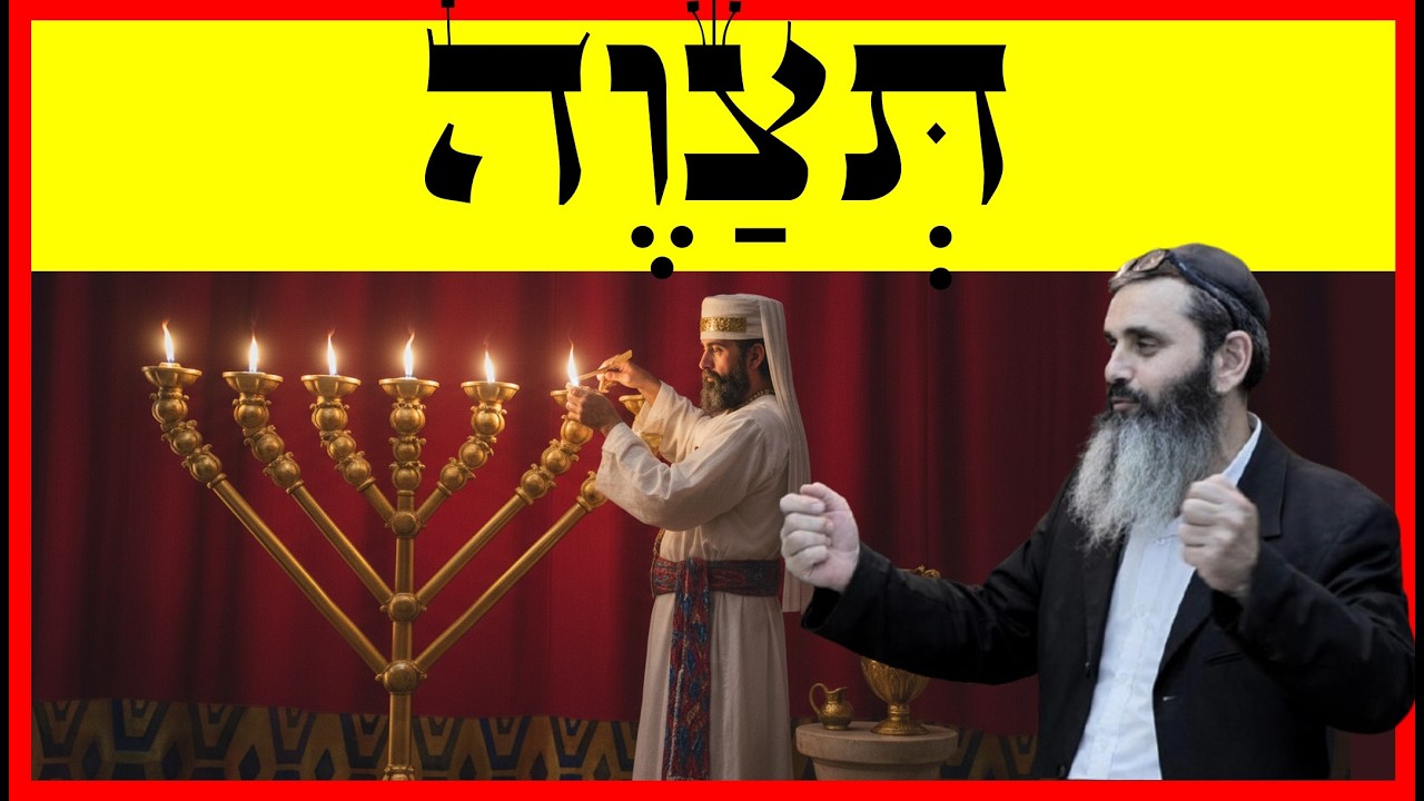 תצוה - פרשת תצוה - 🔨🍈🏺🪔 🕎 -  הרב אהרון זאב שצמן