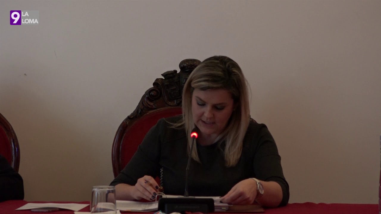 Pleno Ordinario Baeza · 4.2.2019 1 Pleno Ordinario Baeza · 4.2.2019