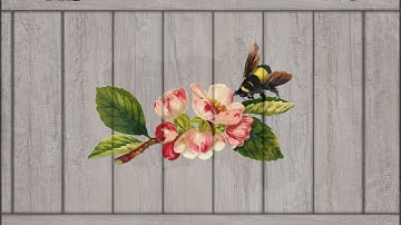 Flexi MakeTransparent for CMYK