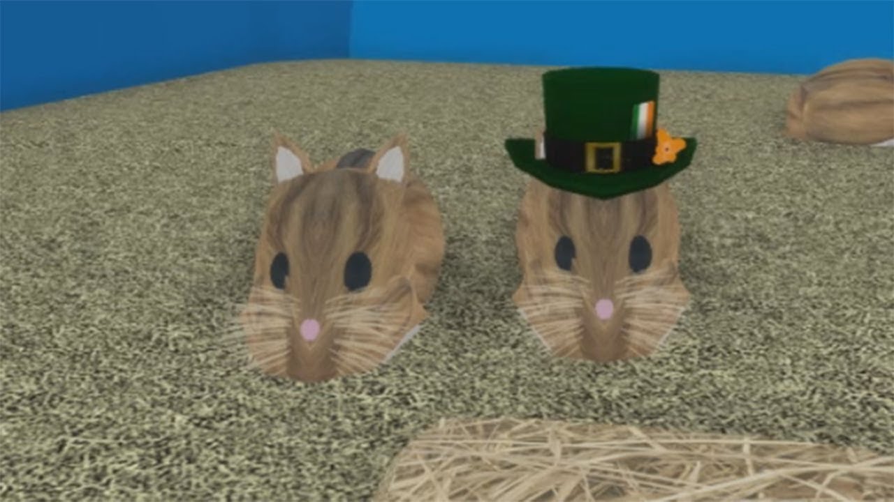 Hamstersimulator Blocky | Hamstersimulator Tutorial #1 – PWQAVC