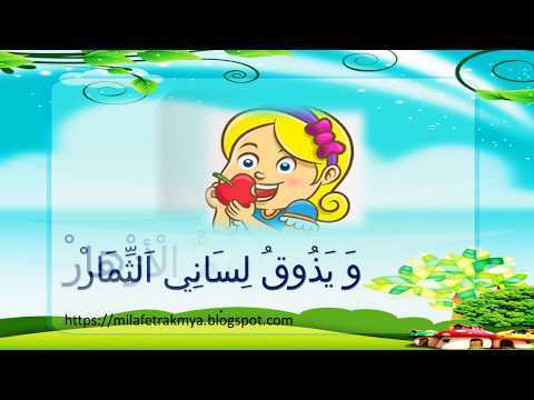 اناشيد مدرسية نشيد الحواس الخمس  