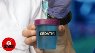 They Found The Sedative With Him... | Just For Laughs Gags