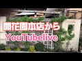 福井　開花園本店から　YouTubelive　社長　一人で【おうちでガーデニング】開花園チャンネル
