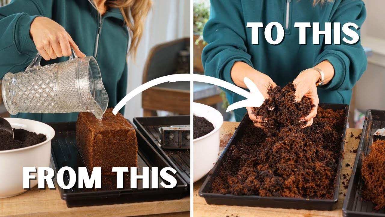 Watch This Coco Coir Block Turn into Fluffy Seed Starting Mix