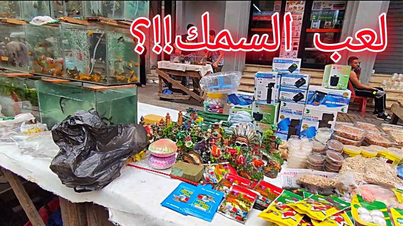 اسعار سوق الجمعه في اسكندريه اسماك الزينه