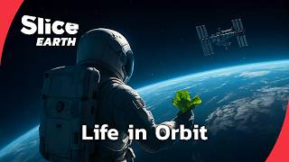 How Did Humanity Recreate Life 250 Miles Above Earth? | Part 2 | SLICE EARTH