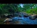 Stop Overthinking and Just Drift Away to This Soft Stream, Deep Relaxation for Your Mind