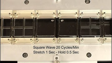 Strex Cell Stretching System Default Patterns