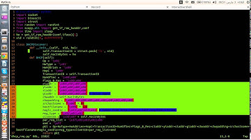 Build Your Own DHCP Client Tool Part - 02