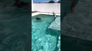 Alana E Mamãe Brincam De Pega-Pega Na Piscina.