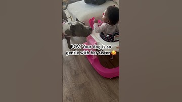 My dog is so protective over her baby sister 🥰 #shortsfeed #girlmom  #funnybabyvideos #dogmom