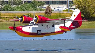 (4K) 80 Year Old Grumman Goose landing at CAM9 | Vancouver YVR