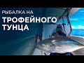 Рыбалка на тунца. Trip expert Михаил Карпович ( Mikhail Karpovich )