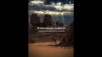 قرآن كريم أفلا ينظرون إلى الابل كيف خلقت قرأن رائع يهز القلوب #قران_الكريم #قرآن #قران _بصوت_رائع