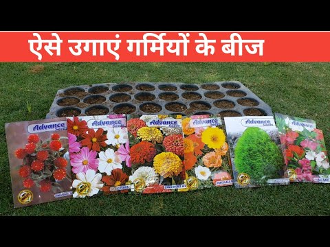 वीडियो: कायाकल्प (48 तस्वीरें): खुले मैदान में किस्मों और प्रजातियों के नाम, रोपण और देखभाल। घर पर बीज से छत का फूल कैसे उगाएं?