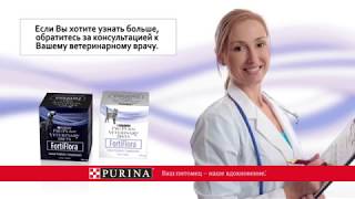 Пробиотическая добавка FortiFlora (ФортиФлора) Пробиотическая добавка FortiFlora (ФортиФлора)