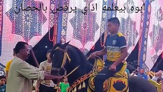 الواد ركب أبوه الحصان العربي الاصيل عشان يرقص ومفاجآة