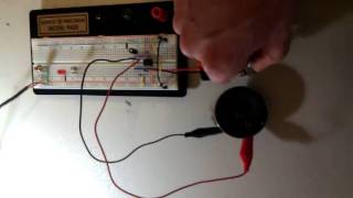 Basic 555 Noise Maker