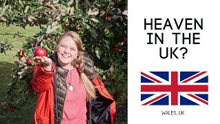 We found her happy place! - Trying Welsh Pub Food (Wales, UK Road Trip)