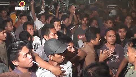 Camelia ungkapan seniman eva aquila