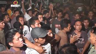 Camelia ungkapan seniman eva aquila