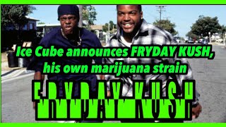 Ice Cube | Gangsta Rap’s father announces own marijuana strain {{{FRYDAY KUSH}}}