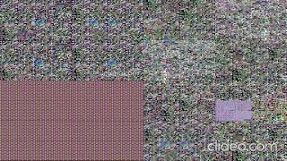 Warning Loud Scan Exaparison