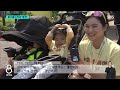 햇살 아래 노란 유채꽃..상춘객 얼굴엔 웃음꽃이 / SBS 8뉴스