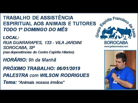 Assista: Palestra presencial - c/ WILSON RODRIGUES JR. (06/01/2019)