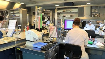 Werken als AIOS en opleider Pathologie in het UMCG