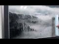 霧 情