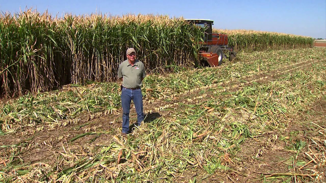 AGCO Equipment - Developing a Sustainable Biomass Production System