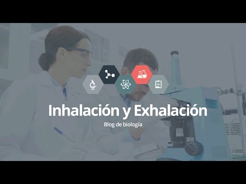 Vídeo: Diferencia Entre Inhalación Y Exhalación