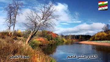 سورة الفجر بصوت هادئ القارئ مثنى فاهم