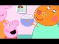 Peppa Pig Português Brasil | vai ao veterinário | HD | Desenhos Animados