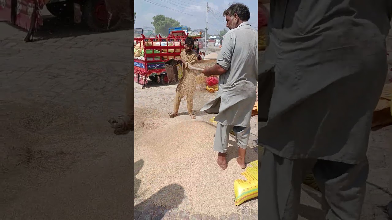 samudri Galla Mandi Tel ke liye update