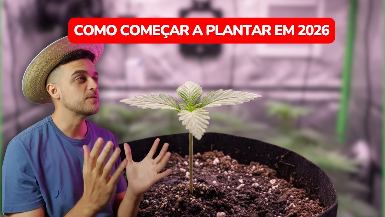 Como começar a plantar em 2026