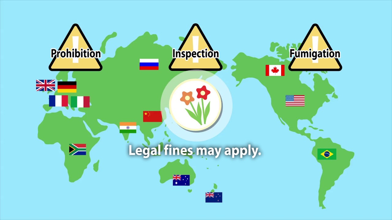 Plant Quarantine Notice（For passengers travelling abroad) YouTube