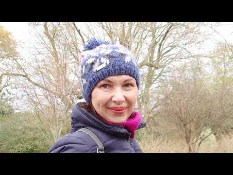 Vlog 35 - Послабления карантина на Рождество. Заключительная прогулка по ботаническому саду