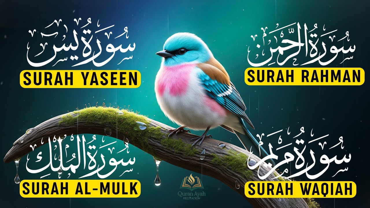 Calming Quran Before Sleep | Surah Yaseen | Rahman | Waqiah | Mulk | Reciter Ashraf Hussain Ep-36