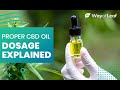 Proper cbd oil dosage explained  how much cbd oil should i take