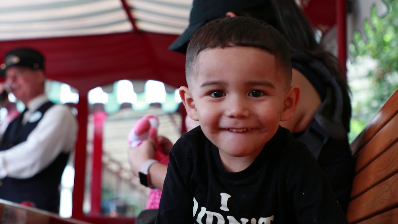 DISNEYLAND TRIP 2017 4K (CANON 1DX MARK II)