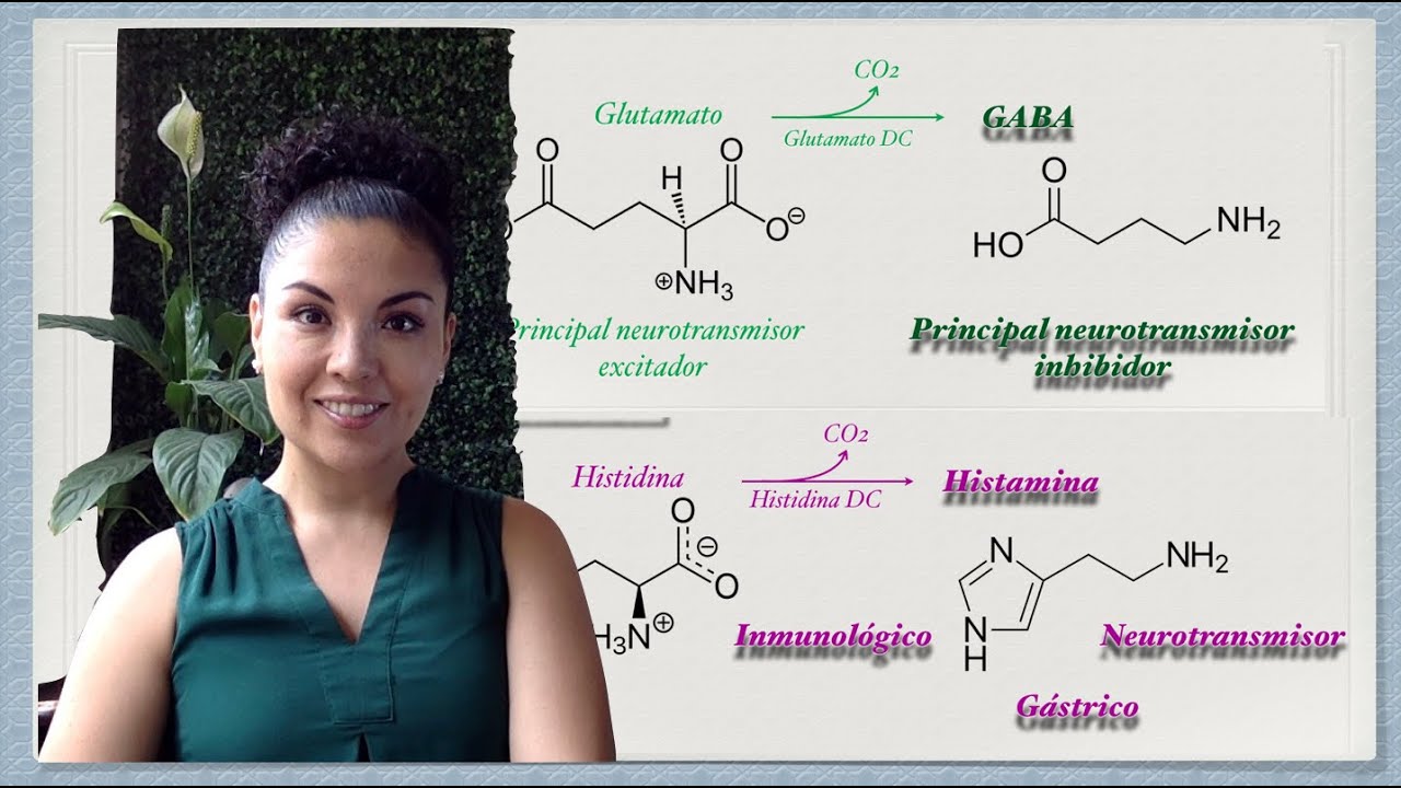 Aminas Biógenas y su aplicación clínica. GABA e Histamina
