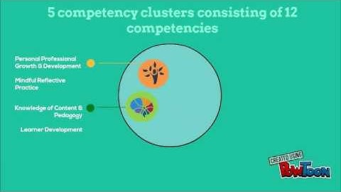 Overview of Teachers Competencies Framework