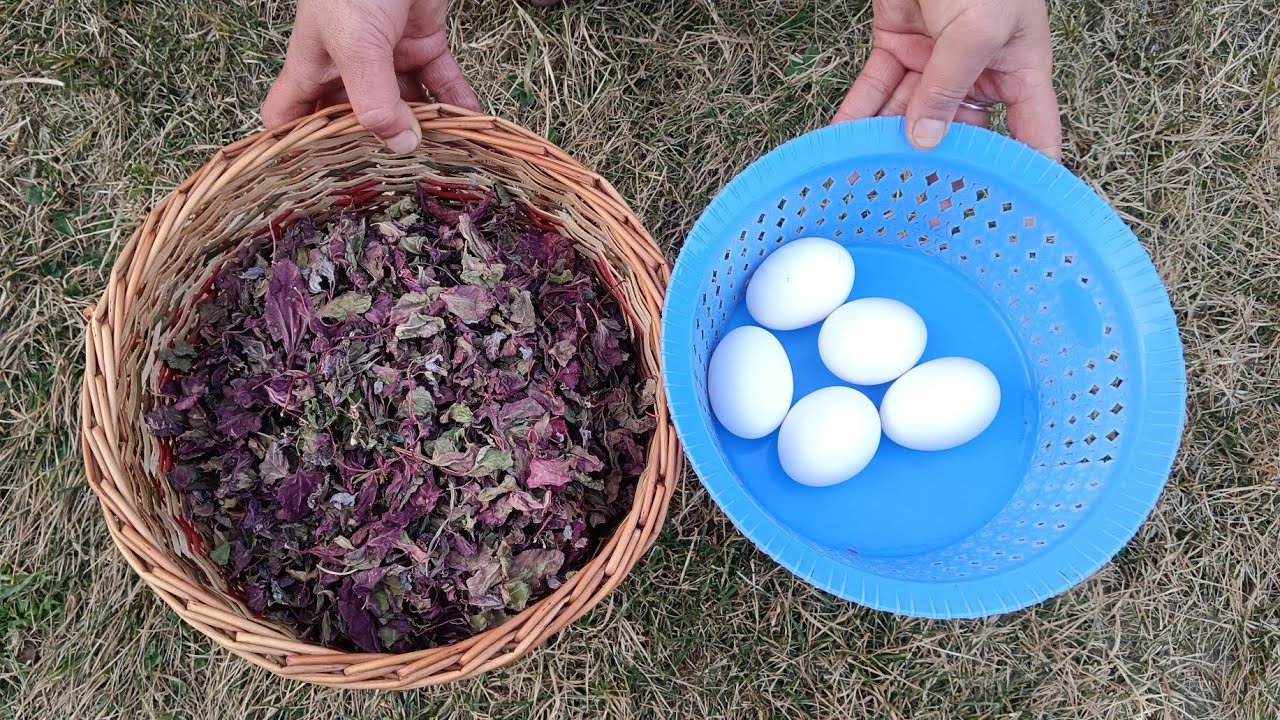 Рецепт хох восте хаах те тул по-кашмирски 😋(высушенный на солнце красный шпинат с 🥚 яйцами)👍