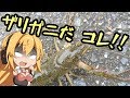 ご注文はエビフライですか？【ボイロキッチン】
