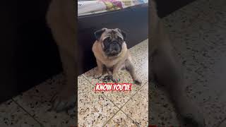 Youre My Best Friend