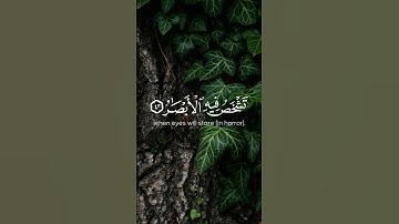 سورة ابراھيم | القارئ سلمان المطيري #قرآن