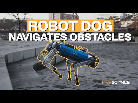 Robot dog can navigate obstacles thanks to new AI training technique