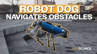 Robot dog can navigate obstacles thanks to new AI training technique
This robot dog can climb stairs, navigate forests, and even adapt to challenging terrain, all thanks to a new AI training technique.
Could this be the future of autonomous robots for search and rescue, exploration, and beyond?
#ai #robotics #robotdog #technologynews #futuretechnology #scienceandtechnology
Thumbnail image credit: Jun-Gill Kang, Jaehyun Park
Science News • Videos • Explainers
SUBSCRIBE to the Live Science YouTube channel → https://www.youtube.com/channel/UCOTA1_oiKnz8po1Rm3nDJPg?sub_confirmation=1
Twitter→ https://twitter.com/LiveScience
Facebook→ https://www.facebook.com/livescience
Instagram→ https://www.instagram.com/live_science/
For the science geek in everyone, LiveScience.com breaks down the stories behind the most interesting news and photos on the Internet, while also digging up fascinating discoveries that hit on a broad range of fields, from dinosaurs and archaeology to wacky physics and astronomy to health and human history. If you want to learn something interesting every day, #LiveScience is the place for you. Robot dog can navigate obstacles thanks to new AI training technique